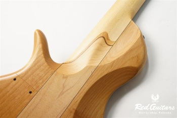 Platinum Series Single-Cut , e-volution 5 - Macassar Ebony